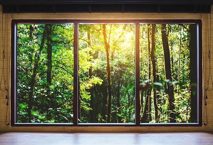 Clean windows overlooking a Portland forest