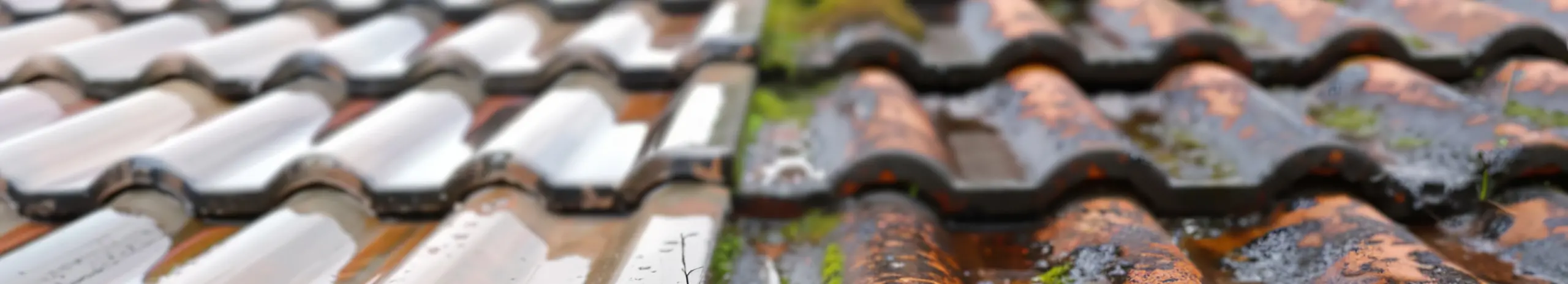 Closeup of a Moss-Free Side of the Roof, and a Dirty, Moss Side